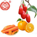 Premium Goji-bessen Gedroogd fruit Goji-bessen