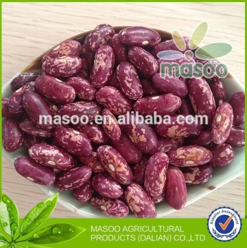 Purple beans, azuki beans from China, Heilongjiang origin, good price