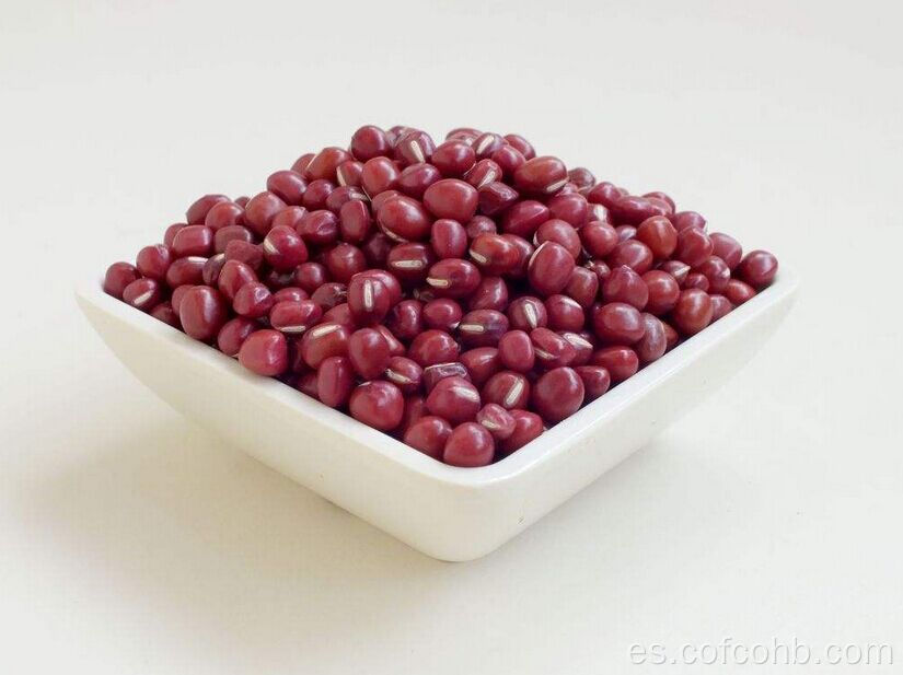 Red Beans Nutrition en venta