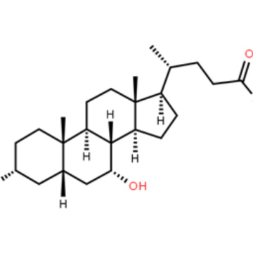 UDCA