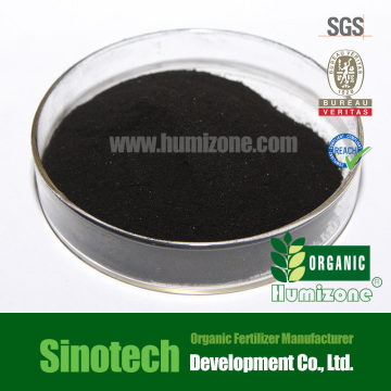Fertilizante orgânico: extrato de algas Humizone em pó (SWE-P)