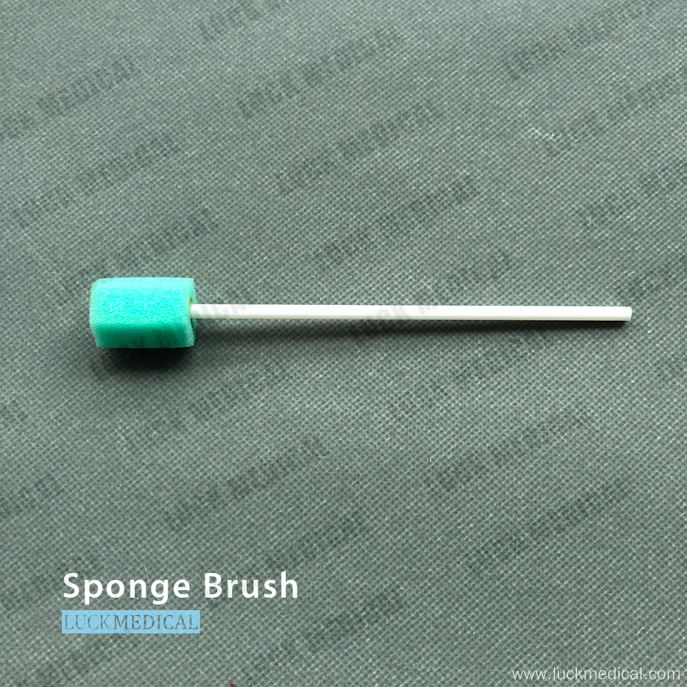 Disposable Cleaning Sponge Brush