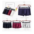 Boxers de culottes en coton pour hommes