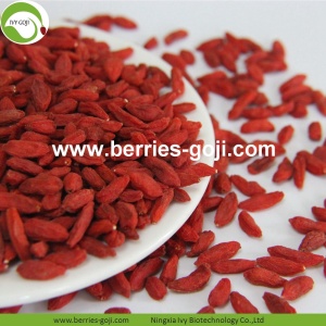 Cải thiện Dinh dưỡng Mắt Goji Berry