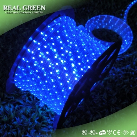 220V 2-Wire Standard Blue LED Rope Light