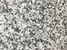 New G603, Padang Crystal ,light Grey Granite