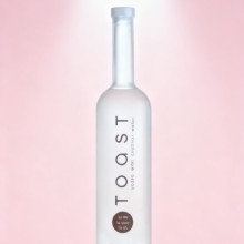 Reusable Frost Glass Vodka Bottle