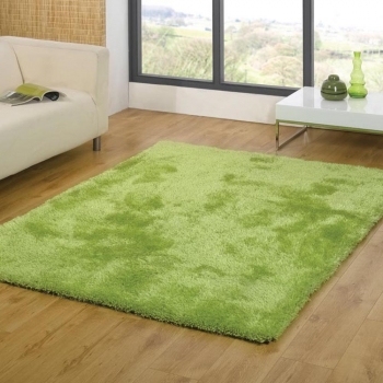 Hand tufted polyester area modern design shaggy carpet for home
