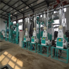 20t/d Maize Flour Mill Machine Complete Plant