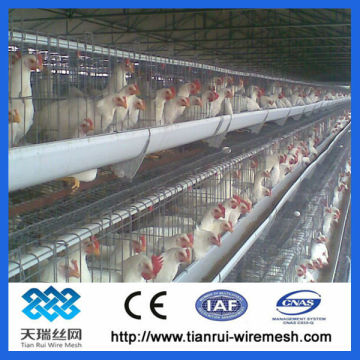 supply poultry cages( egg laying cages) for poultry farm