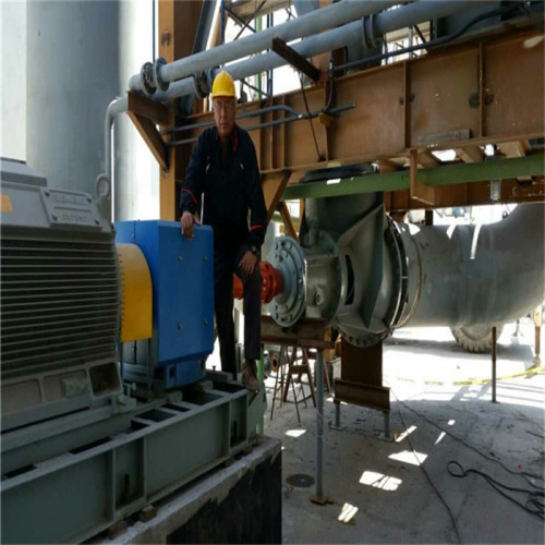 Big Horizontal Axial Propeller Pumps sold by factory