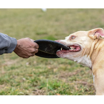 Perro frisbee caucho natural duradero