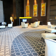 Handtufted Viscose silk Carpet