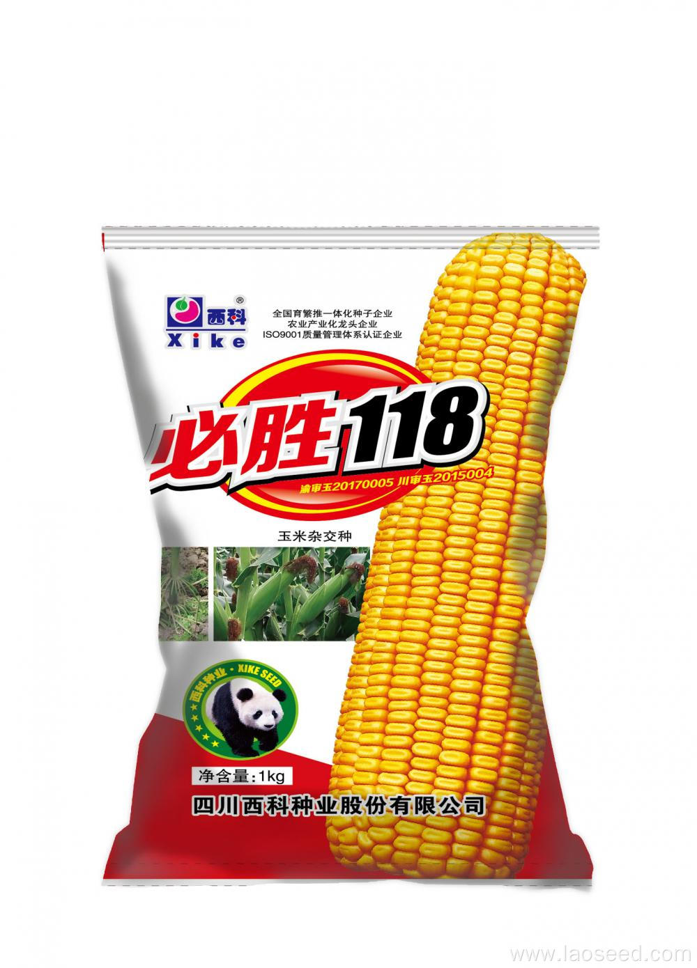 High Quality Natural Hybrid Corn Sweet Seeds