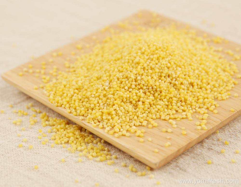 Millet Nutrition Facts