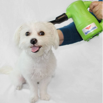 Sèche-cheveux polyvalents pour animaux de compagnie