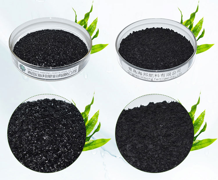 Ascophyllum Nodosum Seaweed Extract Flake Organic Fertilizer