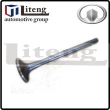 GREAT WALL DIESEL CAR EXHAUST VALVE 1003012