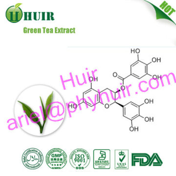 Green Tea Extract (Polyphenol 98%,Catechins 90%,EGCG 70%,Caffeine 0.5%)