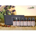 theraputic grade essential oil start up kit spearmint