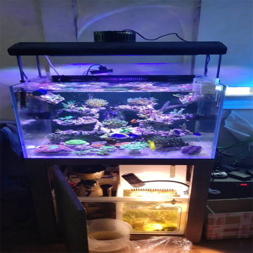 Aquarium LED Black Light Wifi Điều khiển hệ thống 2022