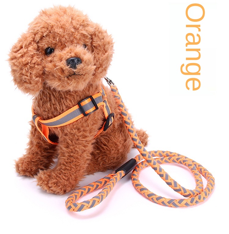 Pet supplies wholesale special traction pull leash dog treadmill morning run special traction rope factory direct supply