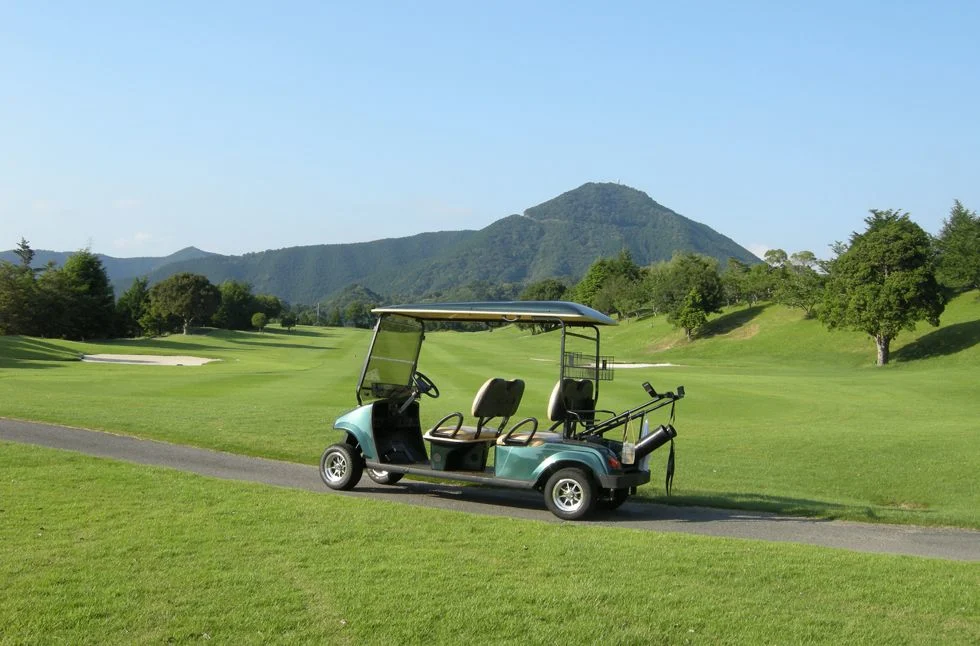 Customized Design 2 4 6 8 Seaters Electric Golf Cart