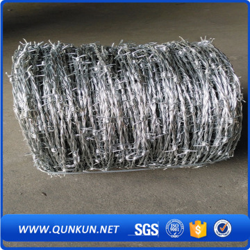 Thorny Fence tool Vs Wild West