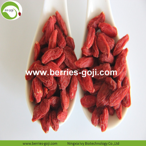 Dostawa fabryczna Owoce Premium Pure Authentic Goji Berries