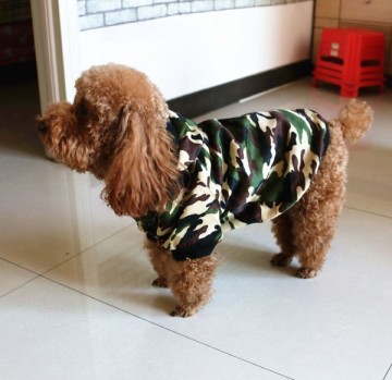 lovely camouflage good quality pet clothes