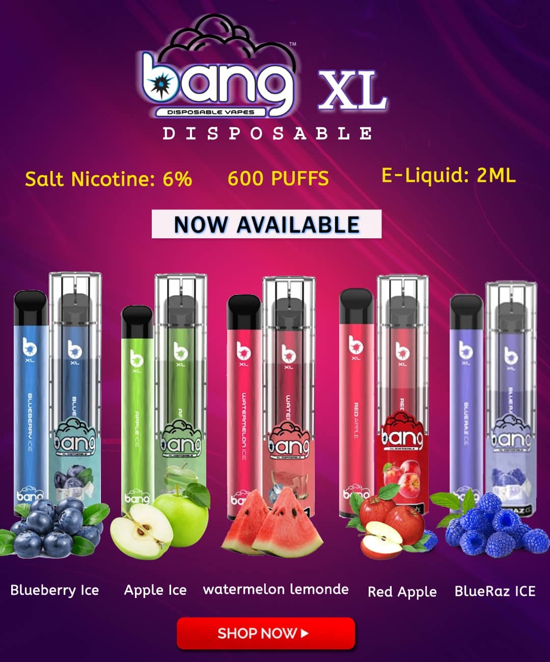 Best Selling Disable Vape 600 Puffs Bang XL