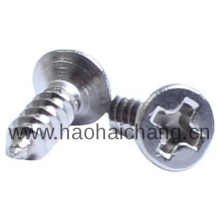 Precision Customized Philip Head Micro Screw