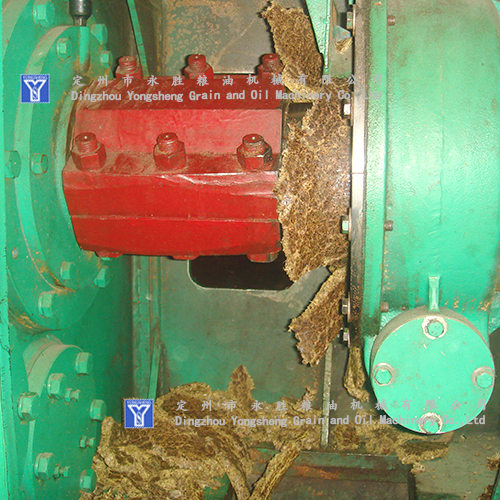 cotton seeds oil producting machine cotton seeds oil producting machine