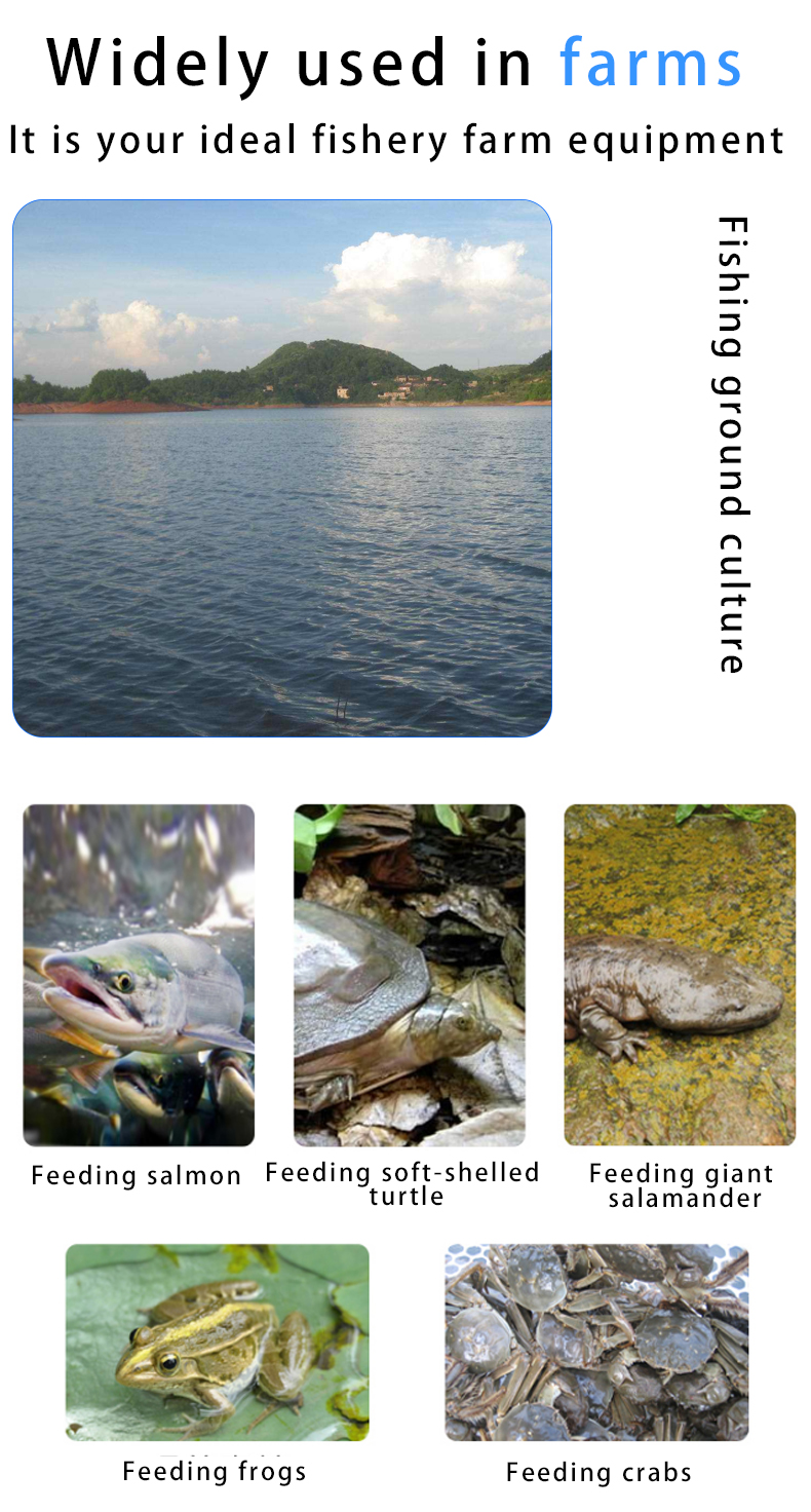 Fish Fillet Processing Machine  Fish Processing Machines Line