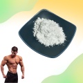 Bodybuilding Whey Protein Concentrate Powder WPC