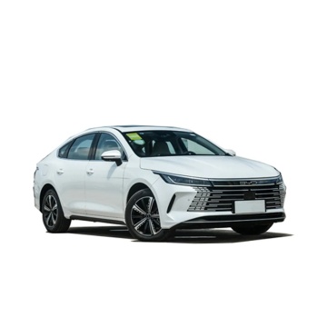 2024 BYD Qu Zhu Jian: High-Quality Chinese Electric Vehicle