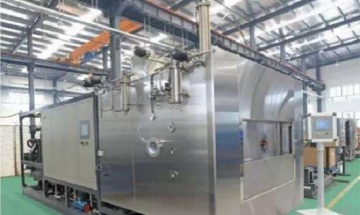 Freeze-dried spinach microwave vacuum drying equipment