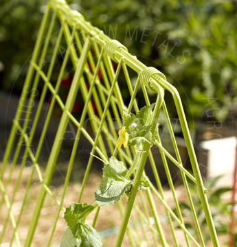 Garden Plant Steel Trellis