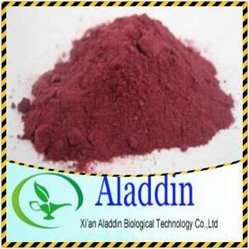 Dried Cranberry extract powder 25%Proanthocyanidin