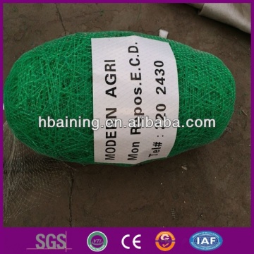 Vegetable Trellis nets / Plant support net /Extrusion net
