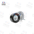 Set accesorii pentru întinderea curelei pentru Buick Regal 2010