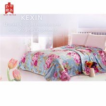 factory wholesale 100% polyester soft warm flannel blanket