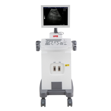 Sistem Ultrasound B / W Digital Trolley Penuh UW-350