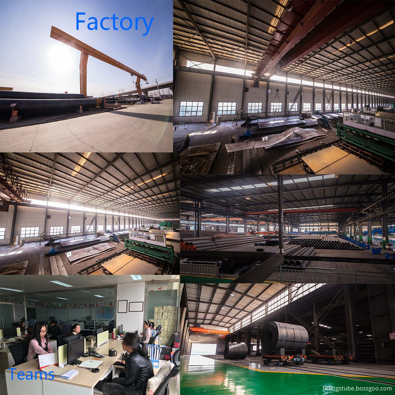 factory and team