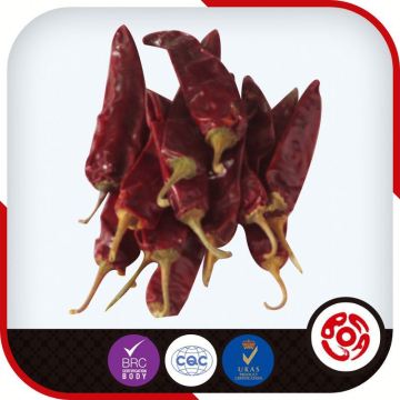 organic dried chili