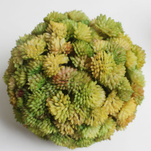 SJ10131020 Plastic landscaping decorative ball / succulant plant ball