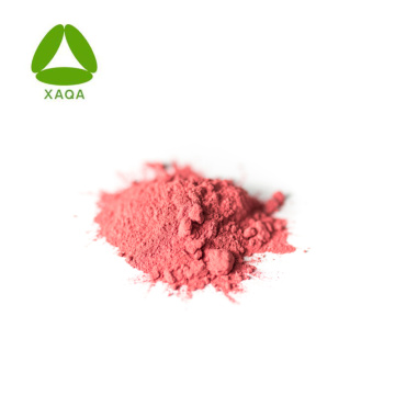 ISO9001 Alimentar grau 10: 1 Camellia Flower Extract Powder