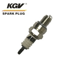 Small Engine Double Iridium Spark Plug D-CMR5H.