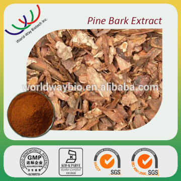 Inhibit inflammation cGMP Kosher FDA HACCP OPC proanthocyanidins 95% pine bark extract best quality pine bark extract powder