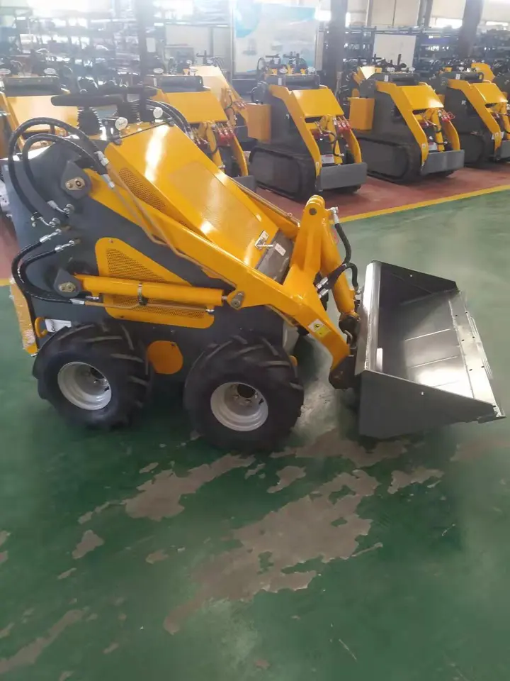 skid steer loader (3)